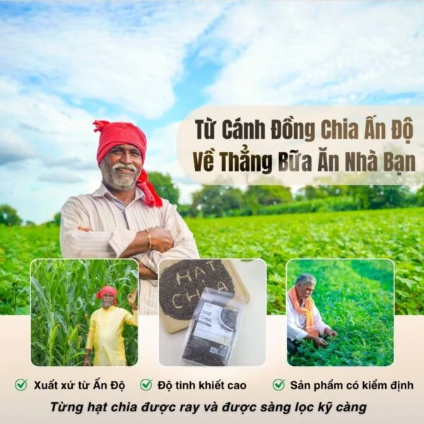 Hạt Dẻ Cười Mỹ Rang Tự Nhiên (Không Tẩy Trắng)